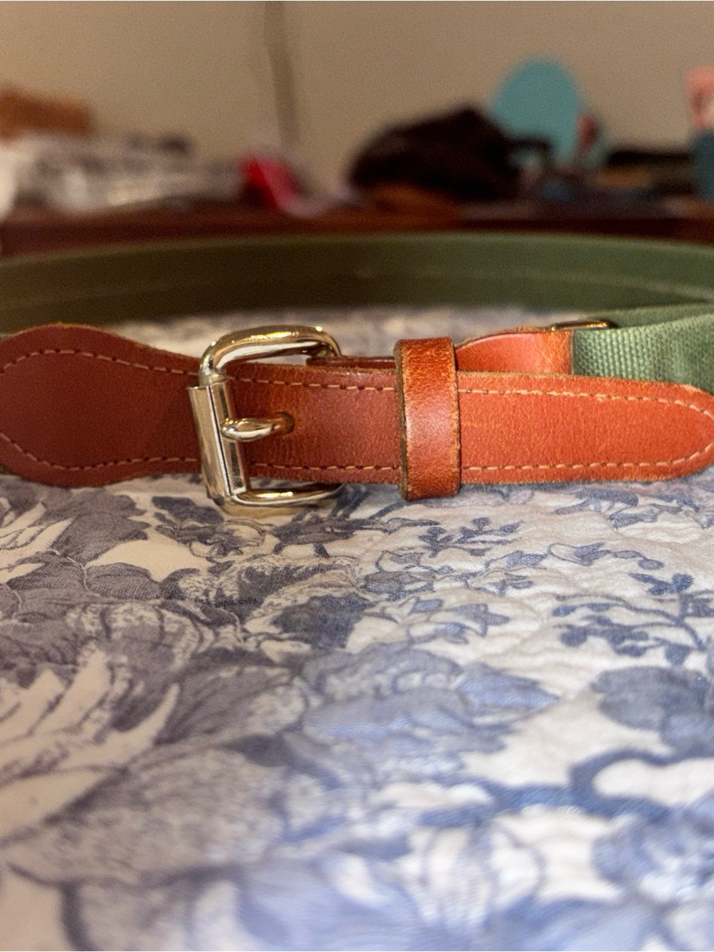 Men's Green Canvas Belt with Brown Leather Trim and Polished Buckle